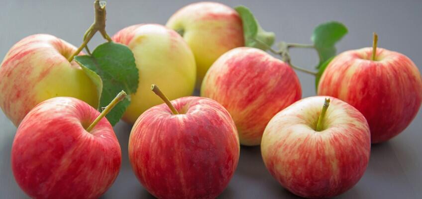 Fête de la pomme
