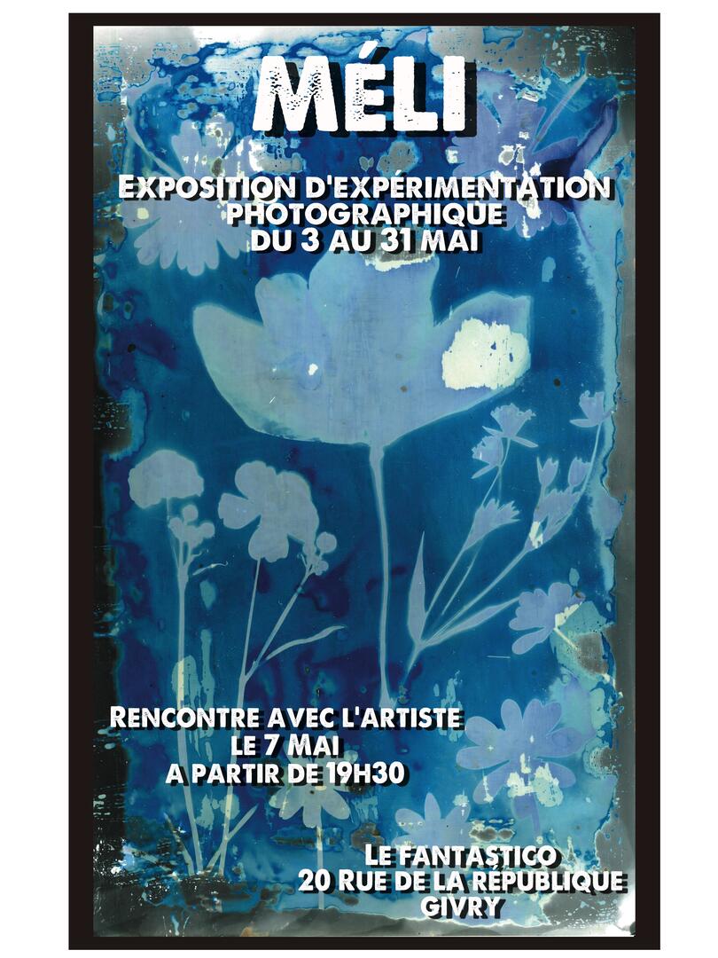 affiche MELI.jpg