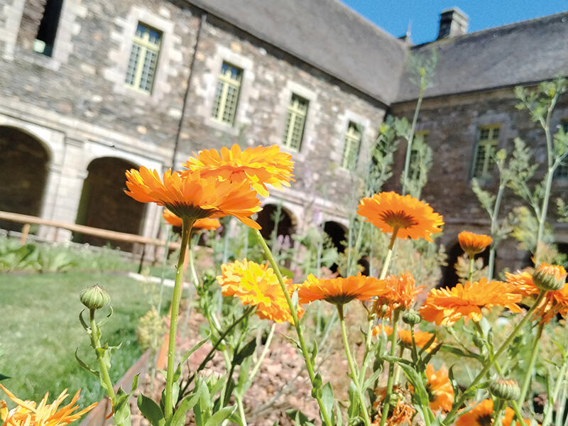 Vue du jardin Spirale végétale