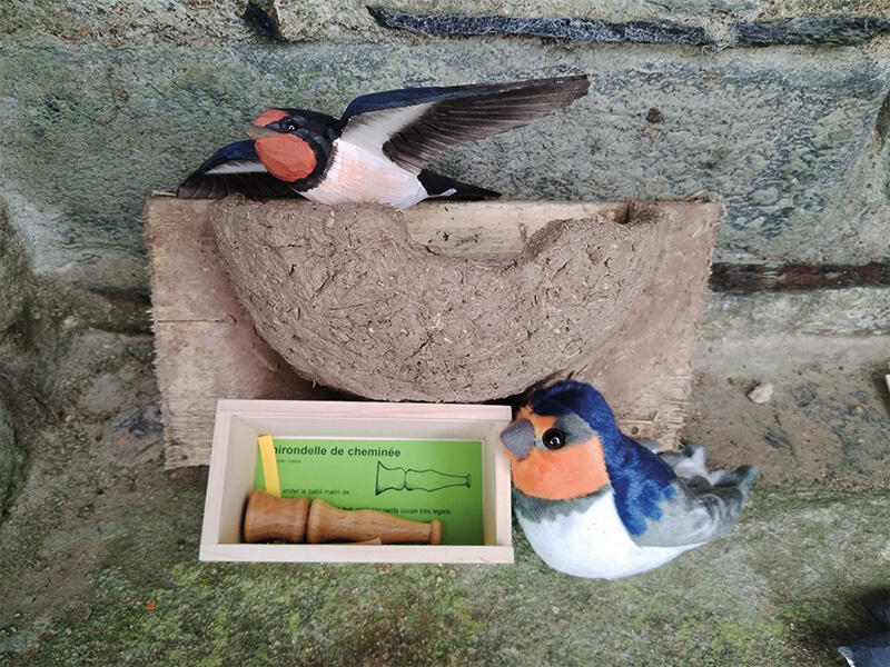 Atelier - Accueillir les hirondelles