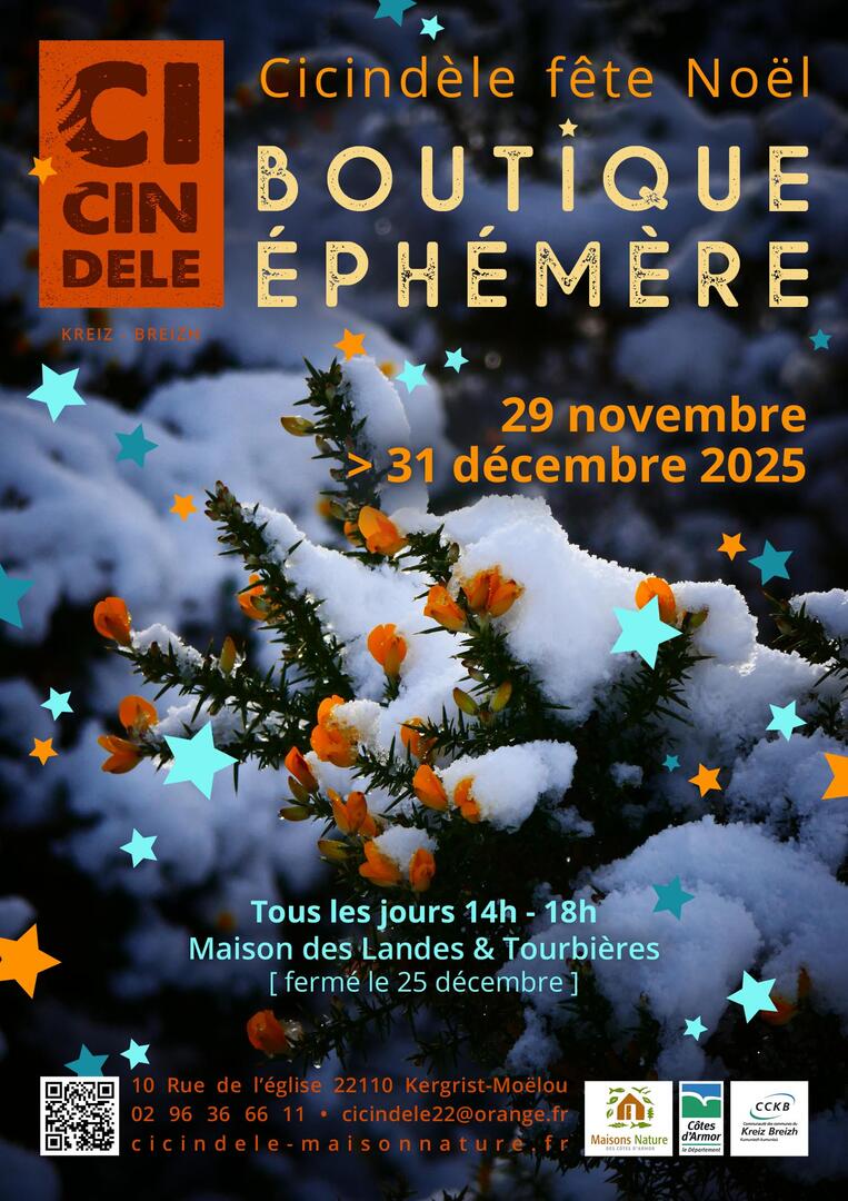 AFF Boutique Noel2025web