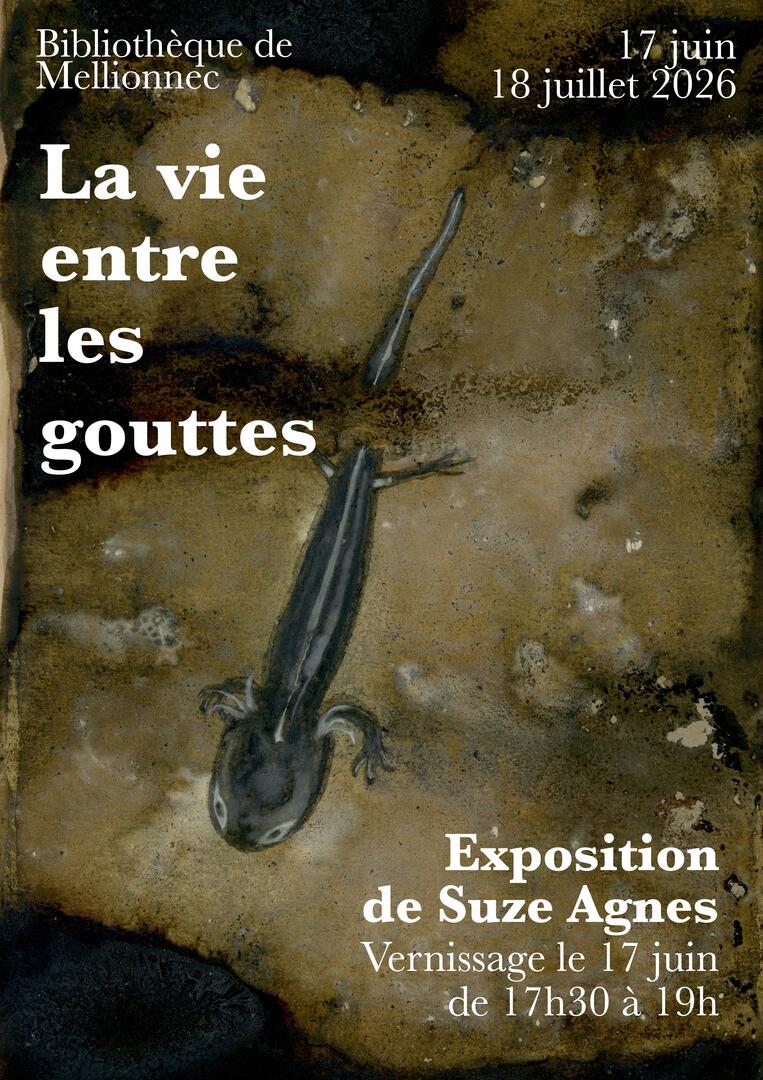 "La vie entre les gouttes"
