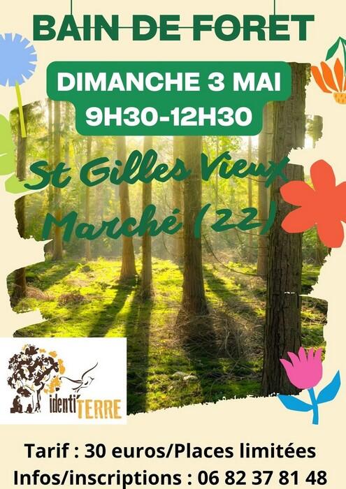 Bain de forêt - 3 mai 2026 - St Gilles Vieux Marché