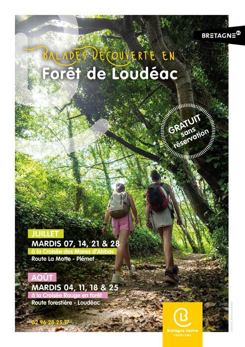 Balades en forêt  2026