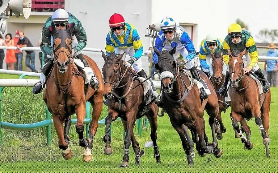 Courses hippiques