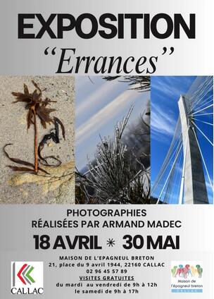 Exposition à la maison de l'épagneul breton