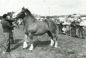 FoireSaintLeau