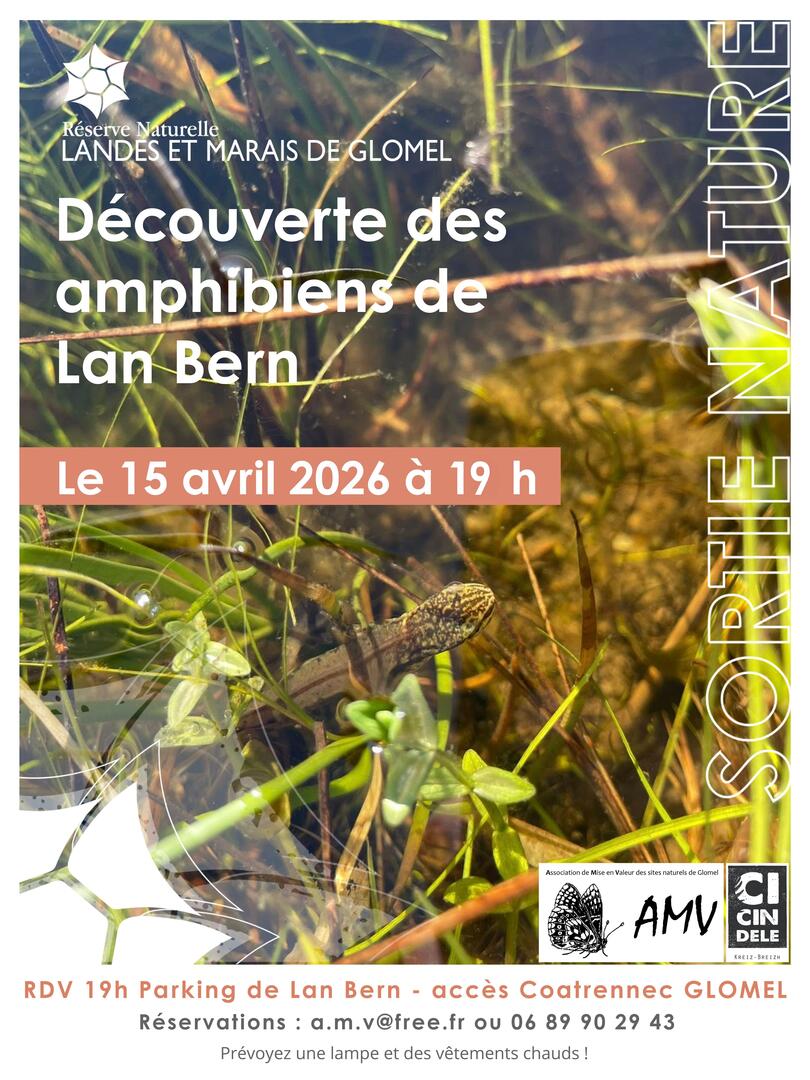 Frequence grenouille 2 - 1