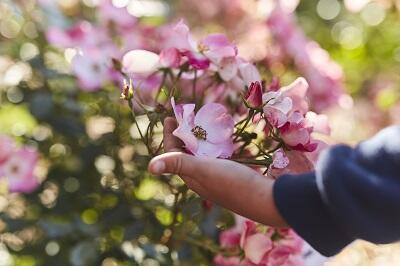 Jardin de Keroguic Baud Vallée du Blavet