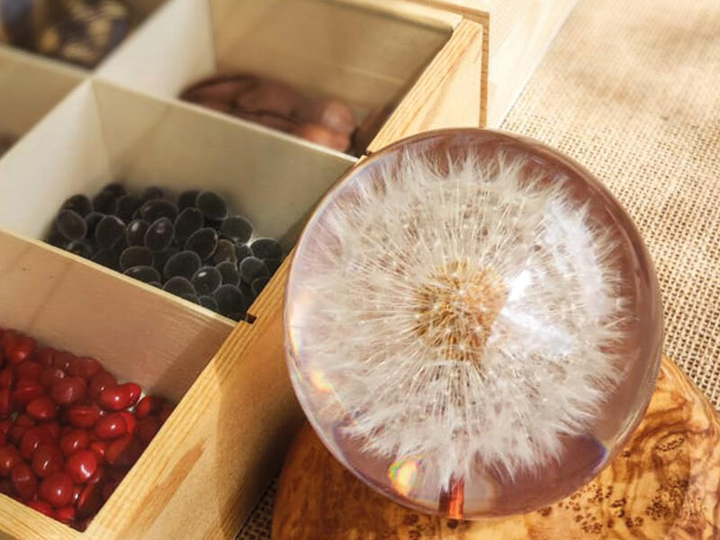 La fabuleux voyage des graines - Herbaterra