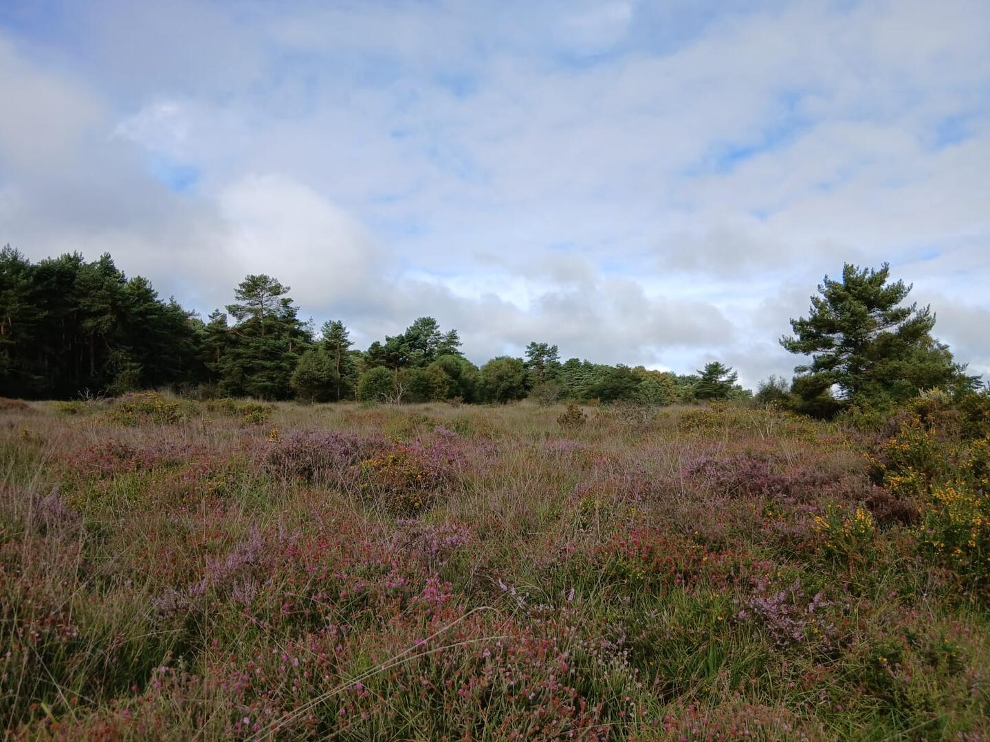 Landes de Lan Bern
