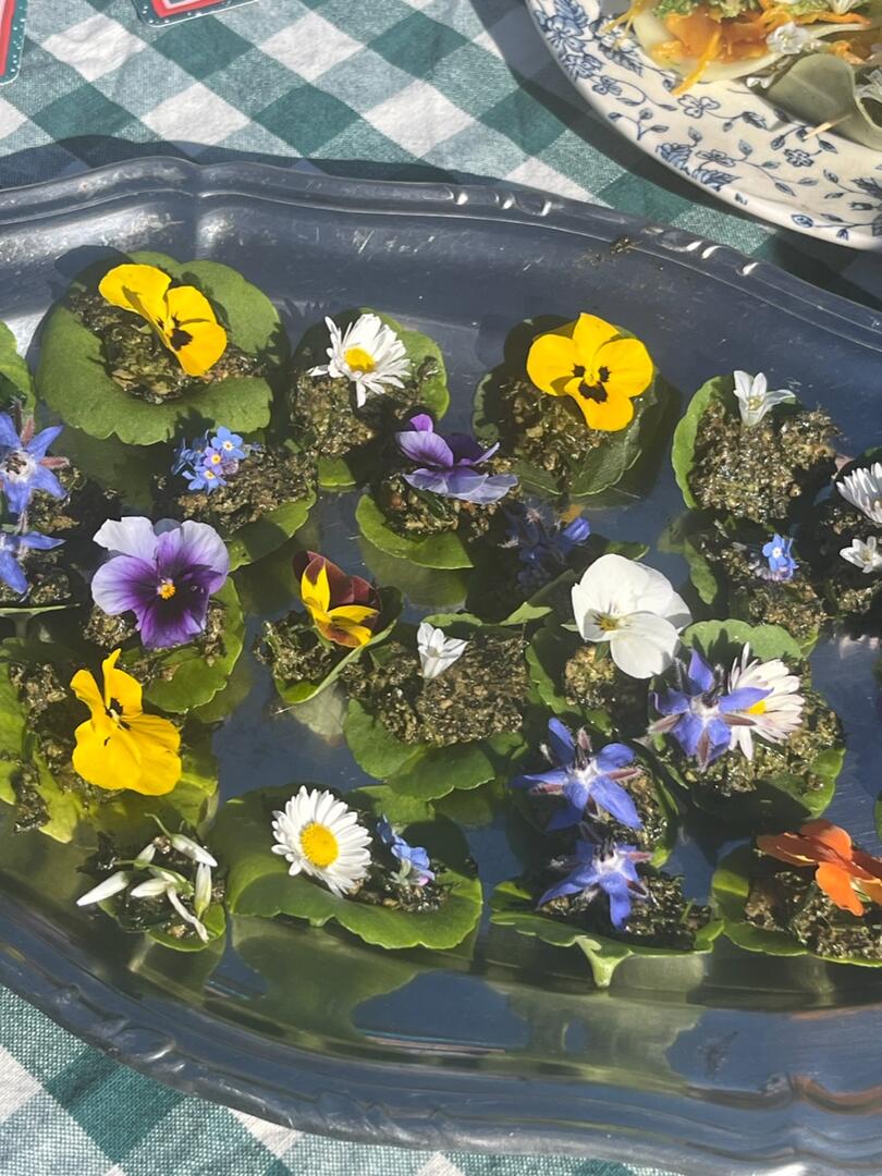 Plantes & Cuisine