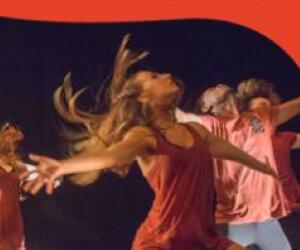 Regards chorégraphiques