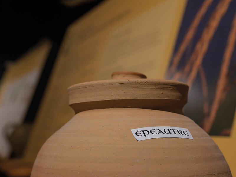 Vue de l'exposition Soigner au Moyen Âge selon Hildegarde de Bingen