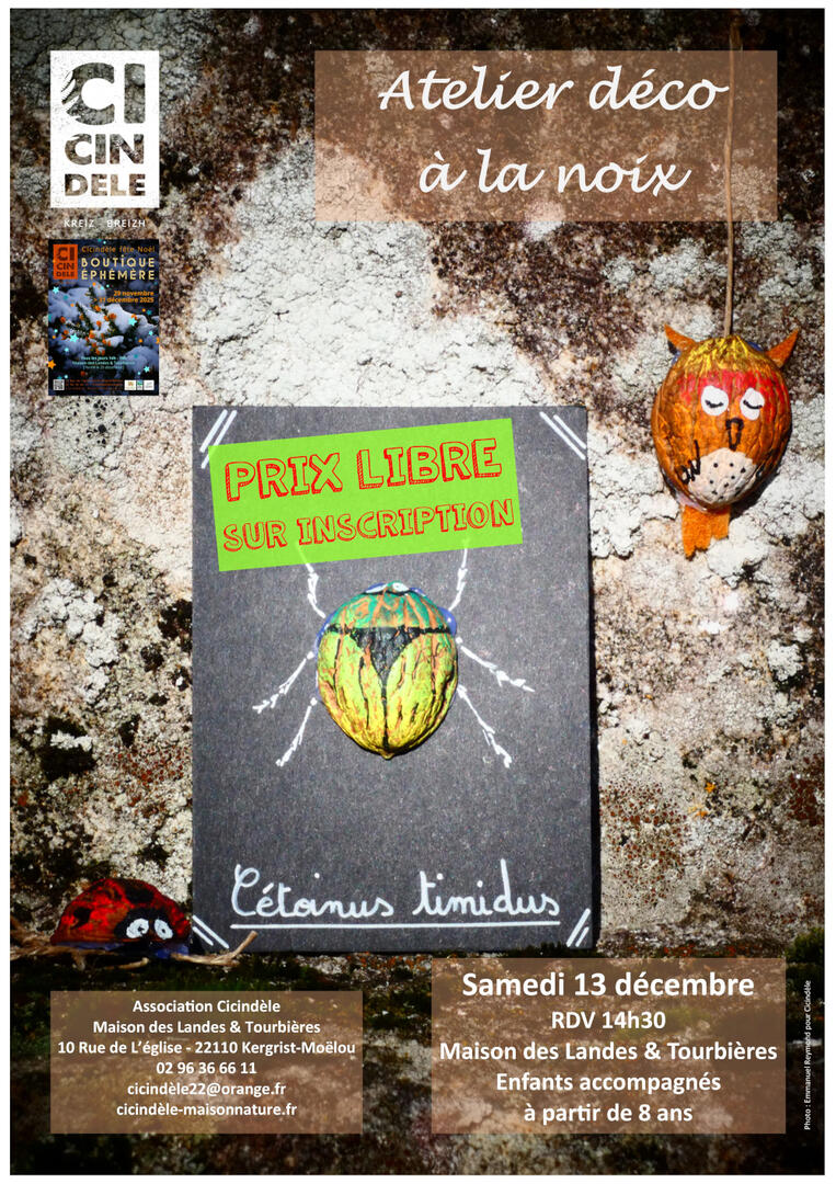 atelier_deco_noix_13_12_2025