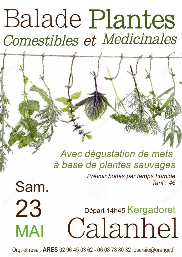 Balade plantes