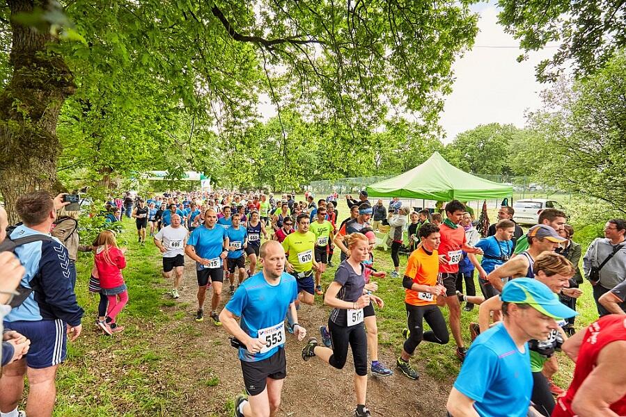 course-alexandre-lamoureux