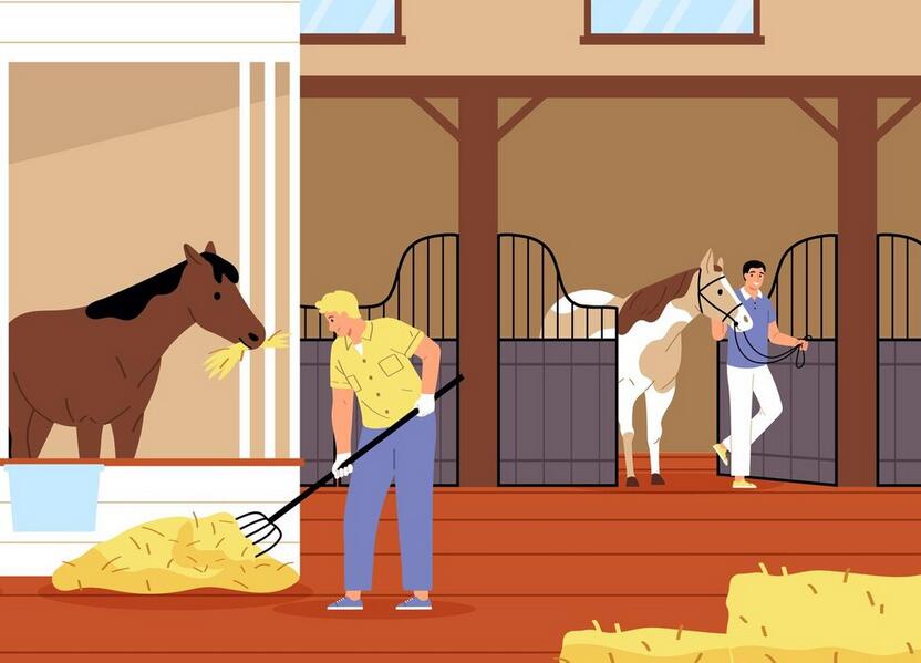 ferme equestre