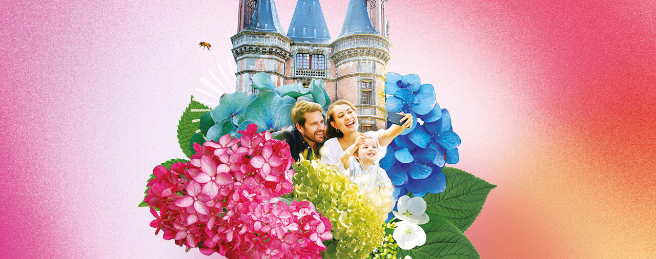 Les hortensias, saison botanique 2026