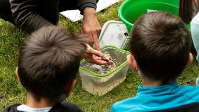 initiation découverte pêche Vallée du Blavet©F.JOSSEC – FDAAPPMA56
