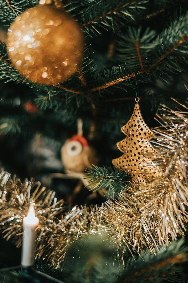 krim_gaouaoui-christmas-5859689_1280©Pixabay