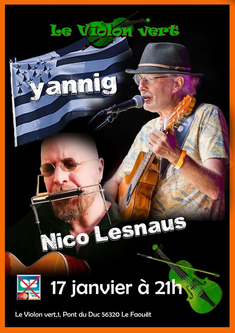 2026_Janvier_LeFaouet_Concert_Violon_Vert