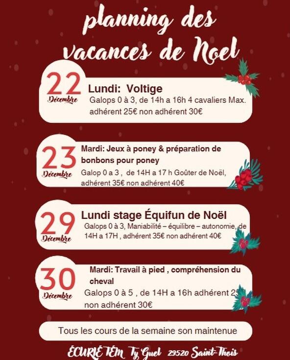 Vacances de Noël à l’Écurie TEM