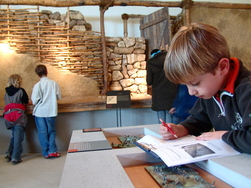 Musee-Vieux-la-romaine