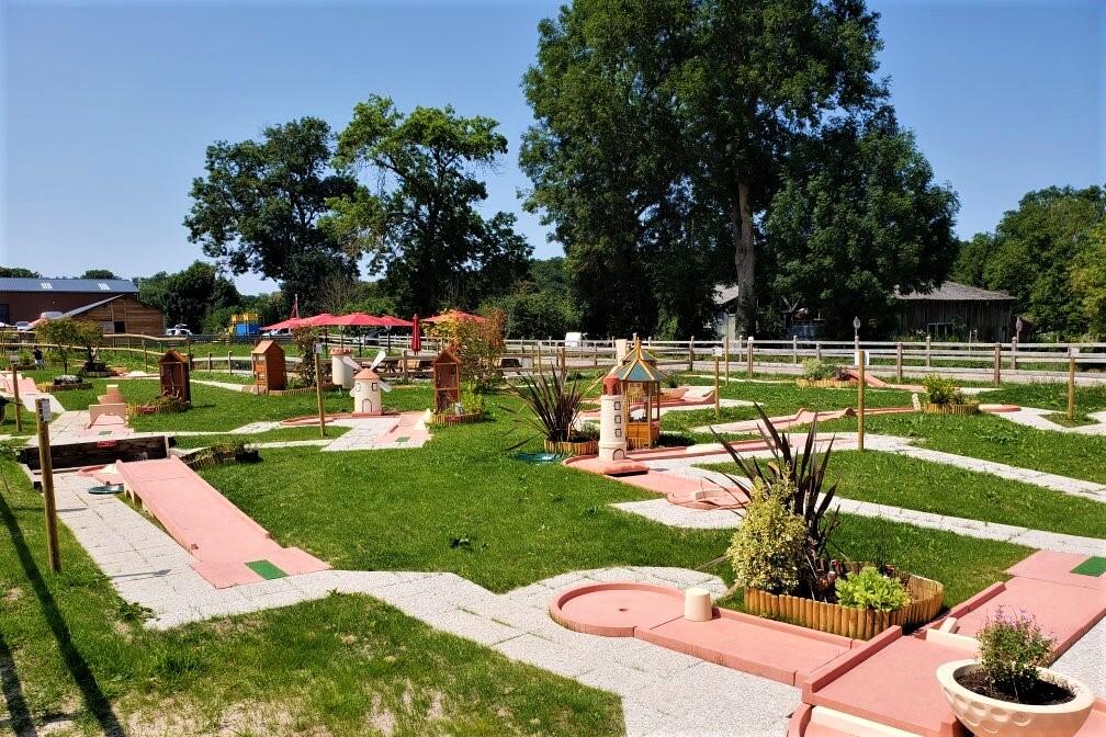Minigolf les animaux du marais