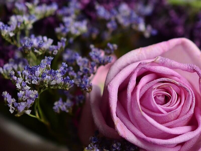Atelier floral