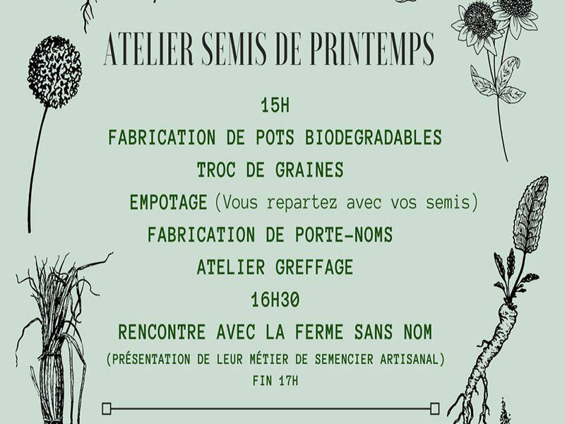 Atelier semis collectif herbes folles 9 avril 2022