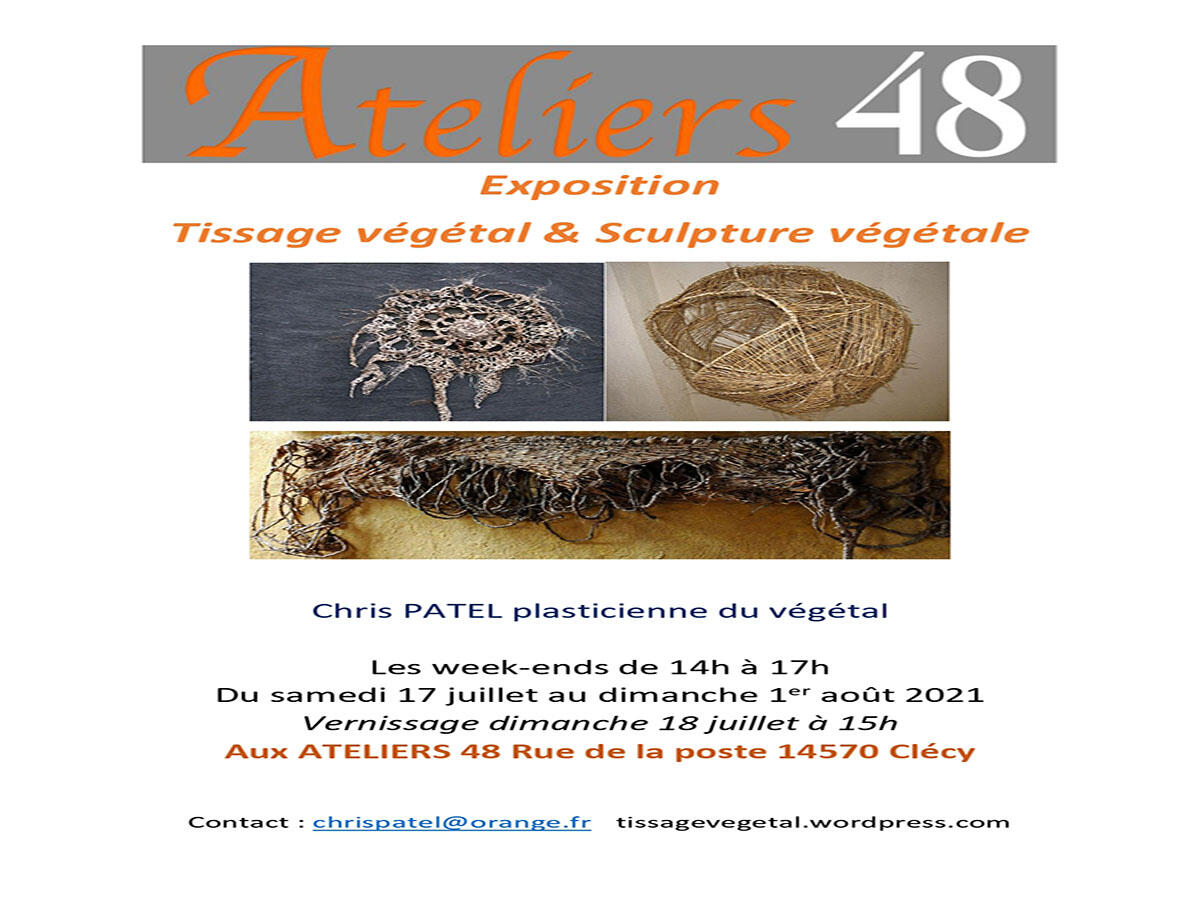 Affiche expo Chris PATEL