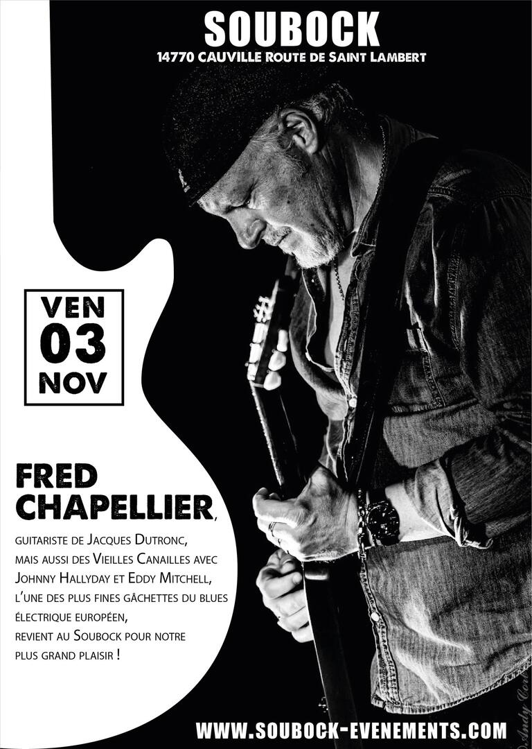 Concert de Fred Chapelier