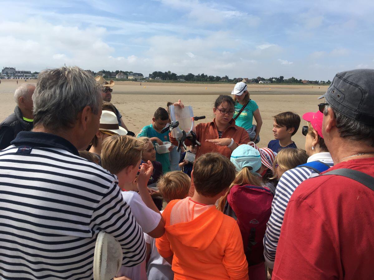 lutins des mers
