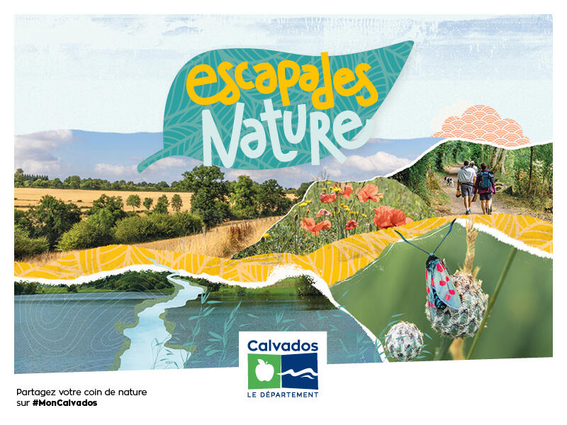 Escapades Nature