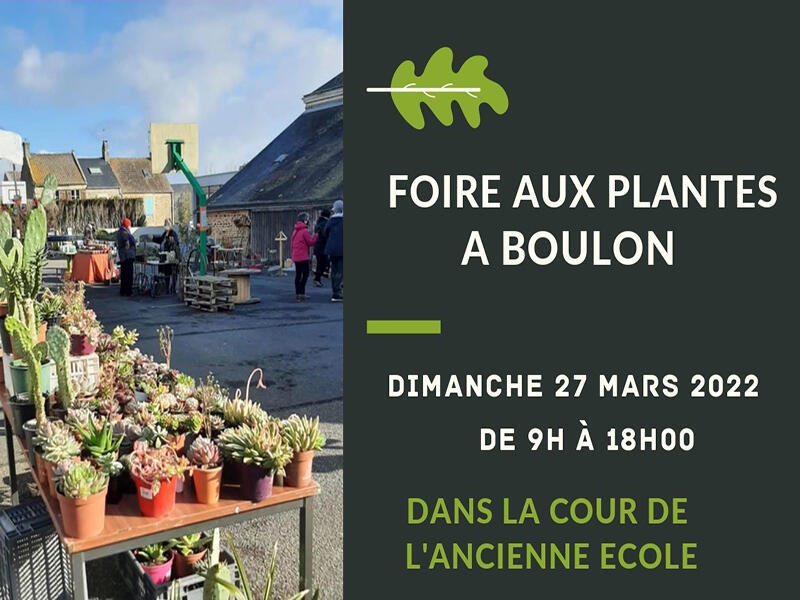 FOIRE AUX PLANTES A BOULON
