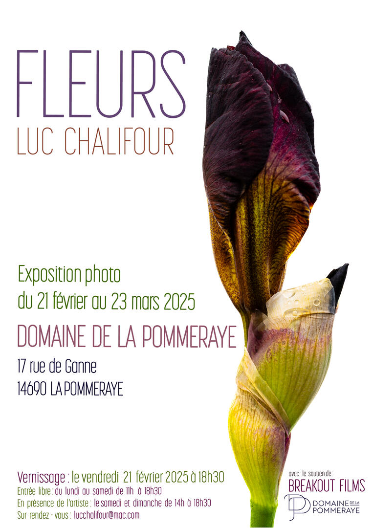 Fleurs