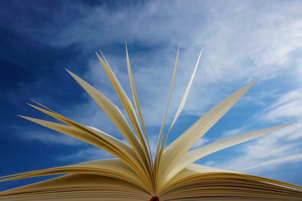 Petite lecture de Marion