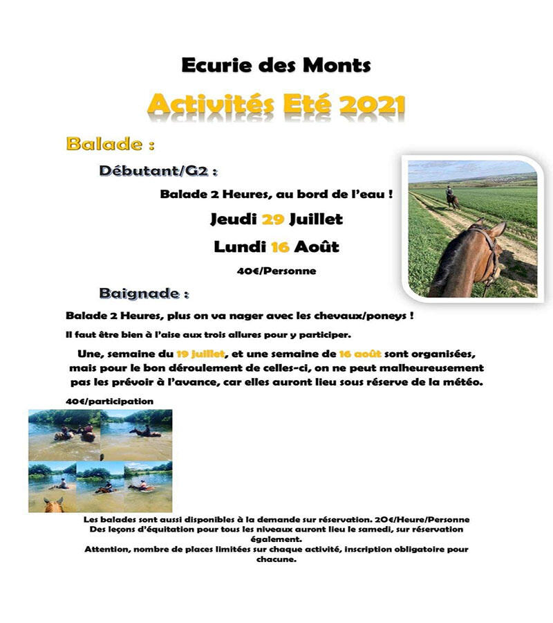 Balade équestre à l'écurie des Monts