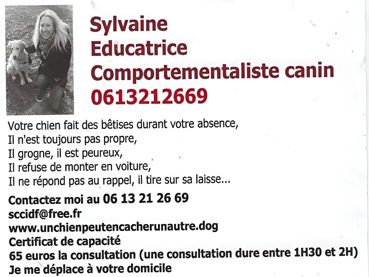 Sylvaine - educatrice comportementaliste canin
