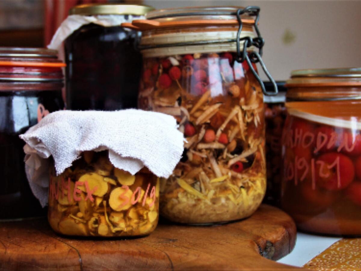 Atelier Préparer l'hiver avec des recettes aux plantes à Pont-d'Ouilly