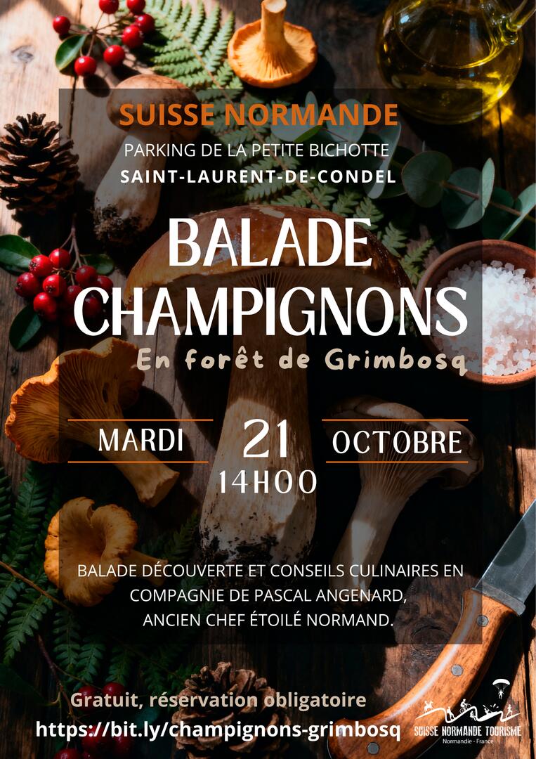 balade champignons 21octobre2025