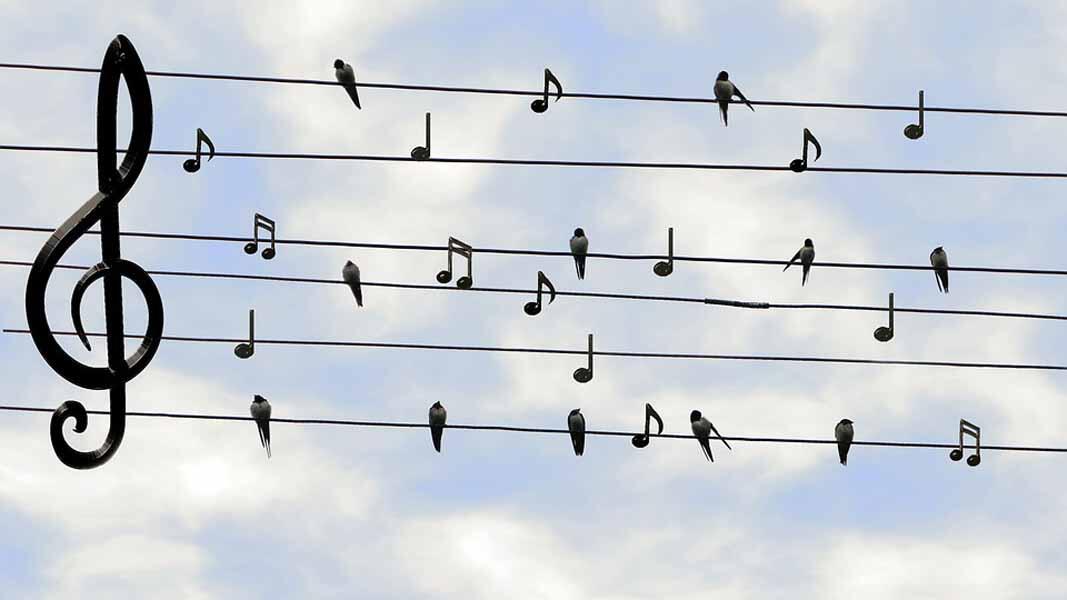 Musique