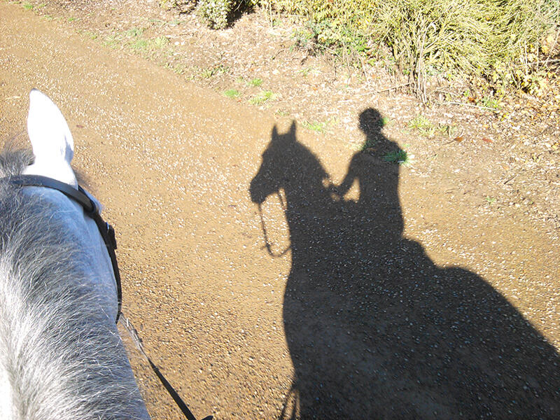 cheval balade