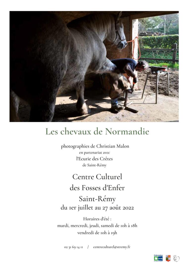 chevaux de normandie