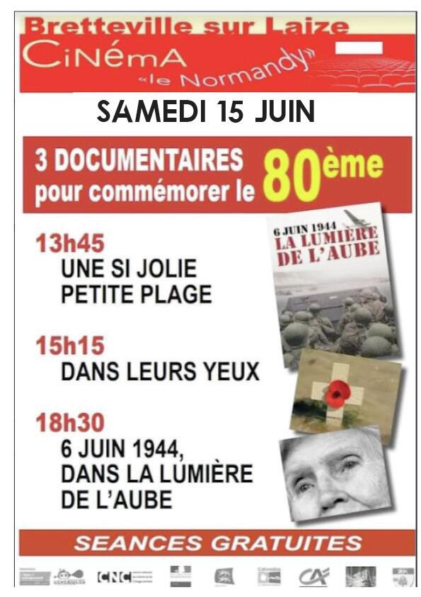 Affiche programme cinéma