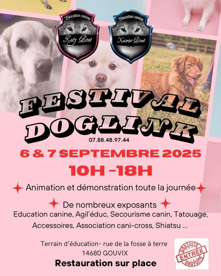 Doglink 2025