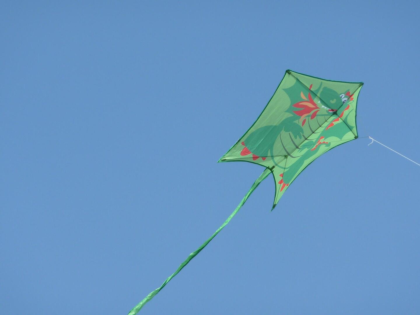 cerf volant