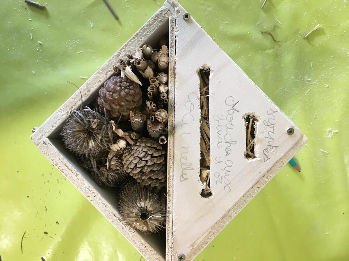 hotel à insectes