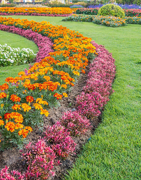 Arts au jardin